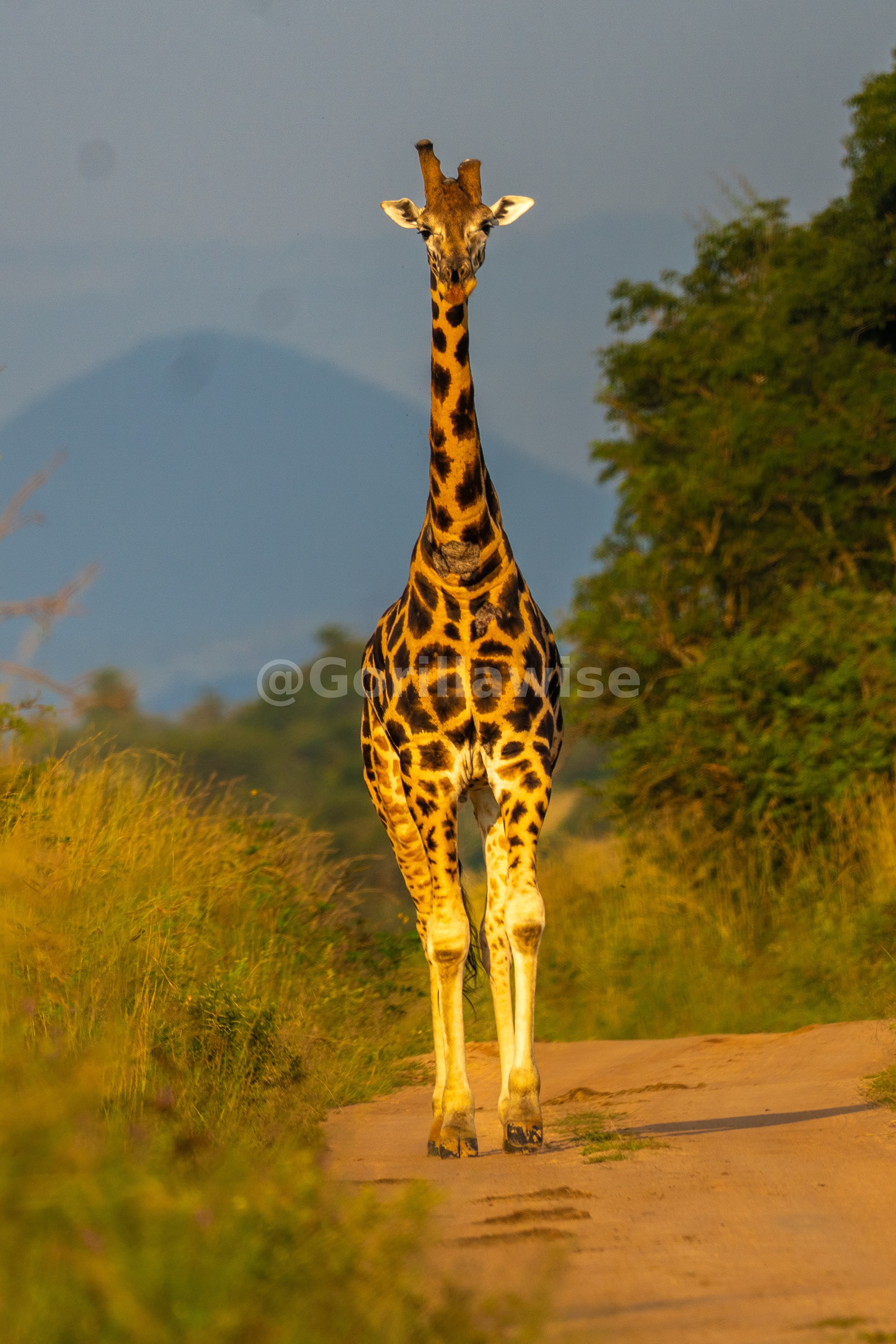 21-Day Grand East Africa Safari